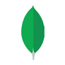 MongoDb NoSql Database Development Company