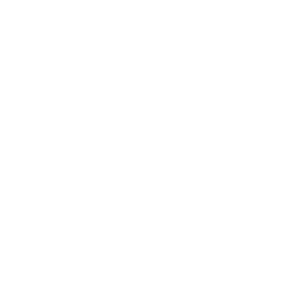 Wordpress Design and Development Company